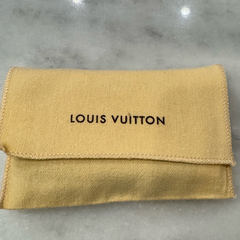 LV Dust Bag